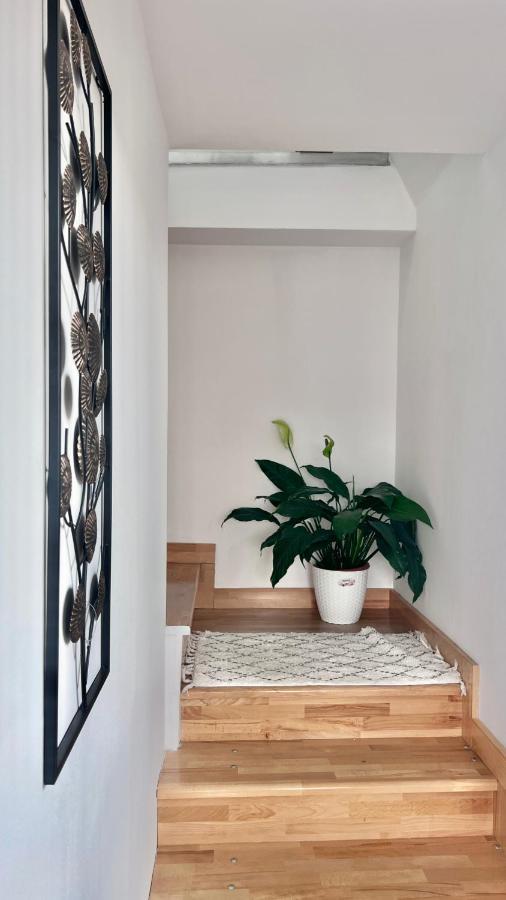 Lovely Loft Cluj-Napoca Exterior photo
